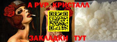 стафф Донской